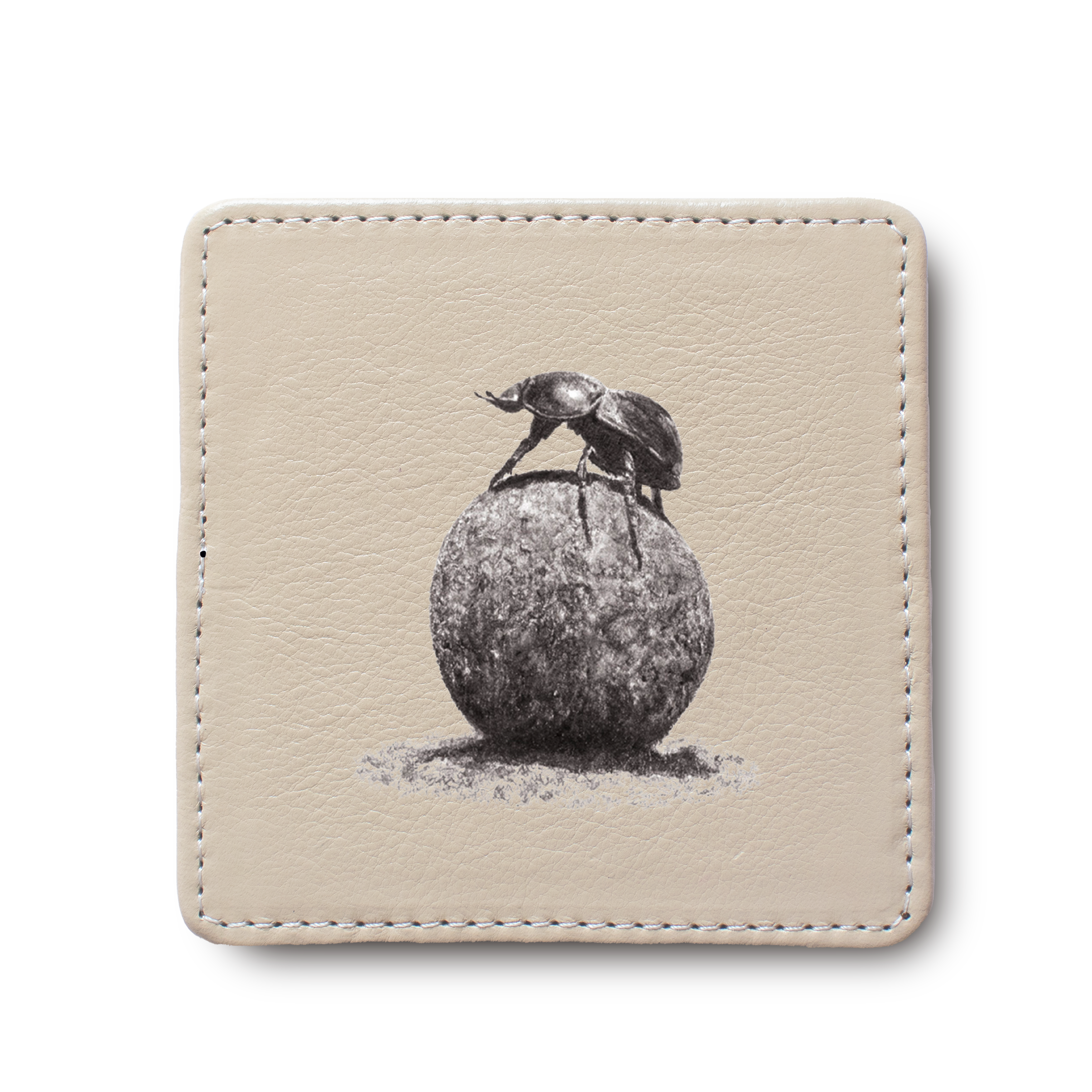 Dung Beetle leather coaster by South African wildlife artist Matthew Bell