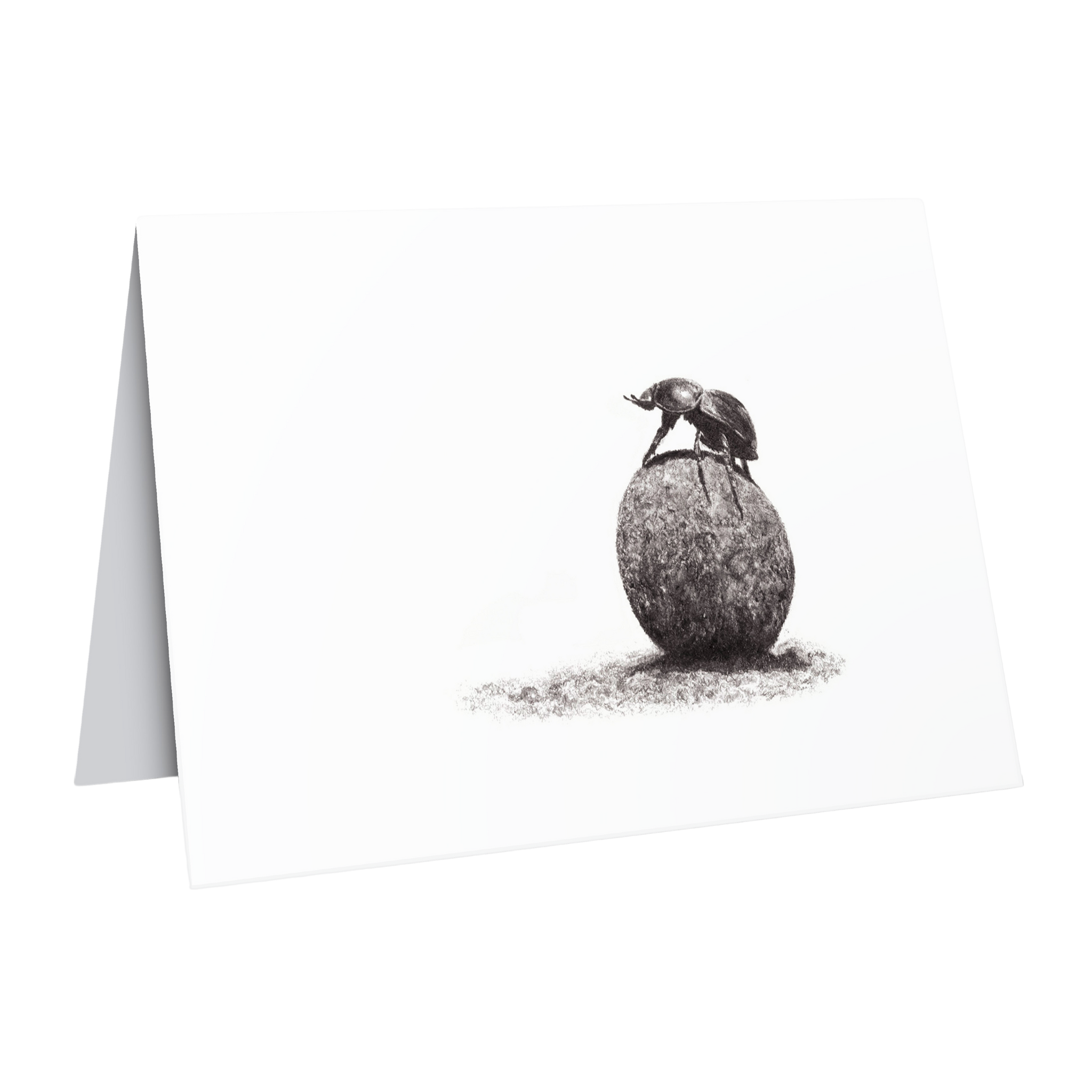 Dung beetle greeting card