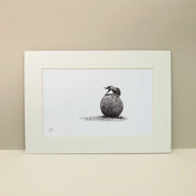 Dung Beetle artwork mounted print