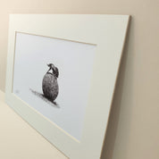 Dung Beetle artwork mounted print