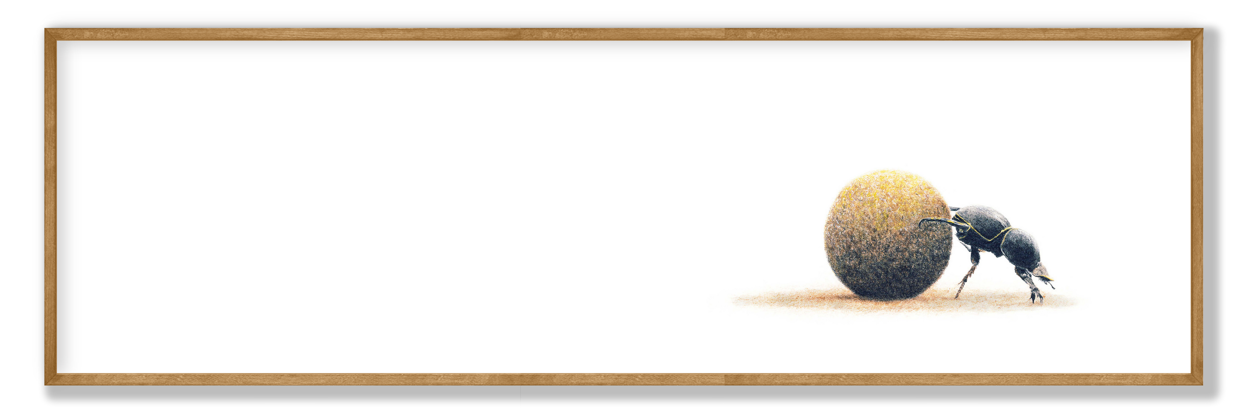DB2-01.png
