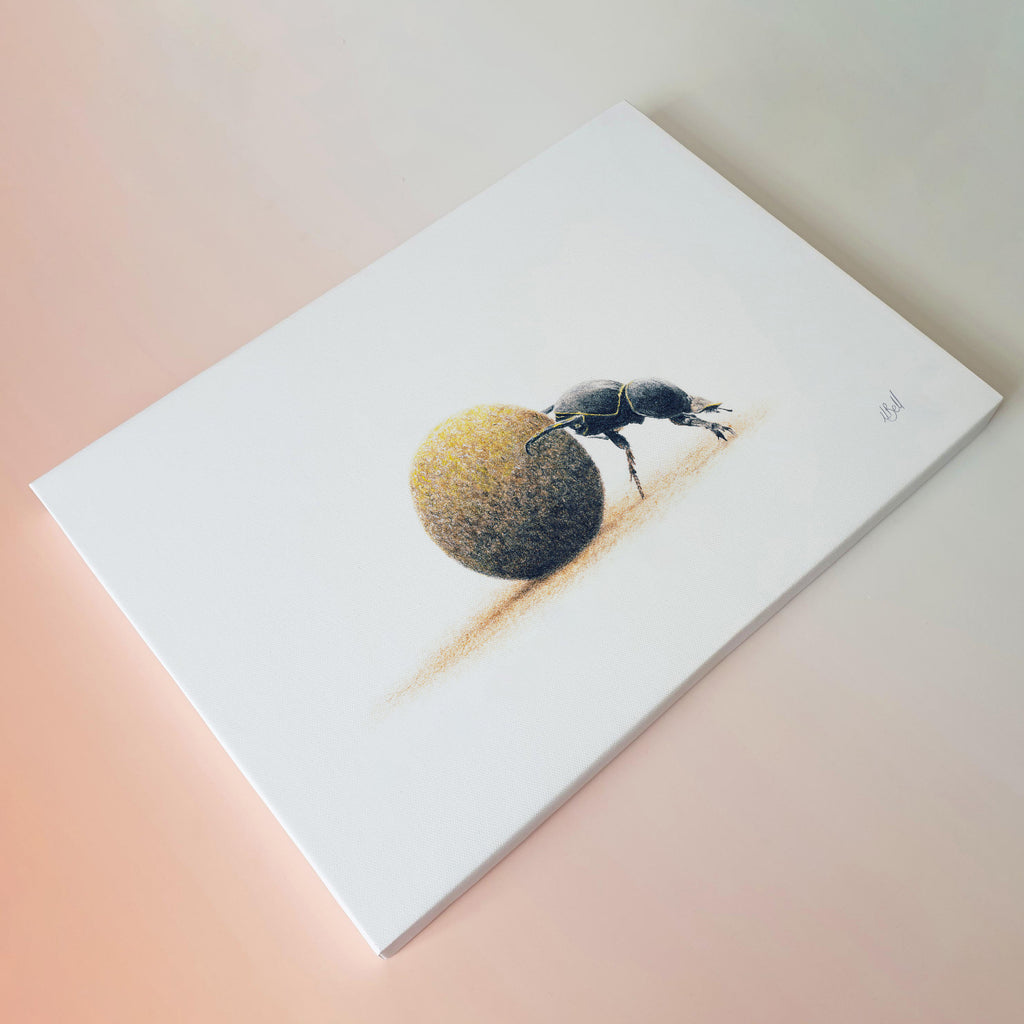 Dung Beetle art print on canvas