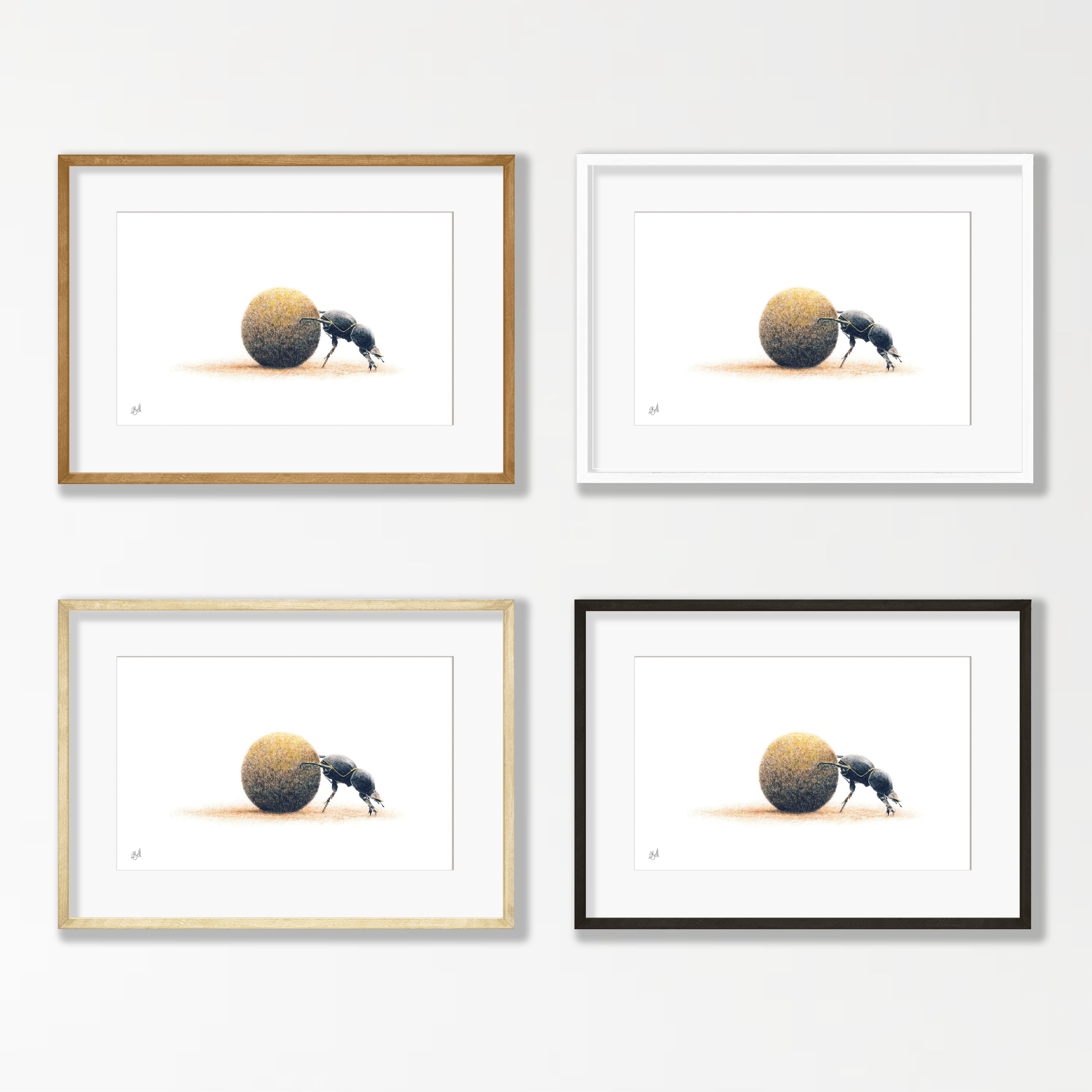 Dung Beetle - DB2