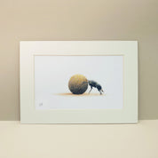 Dung Beetle artwork mounted print