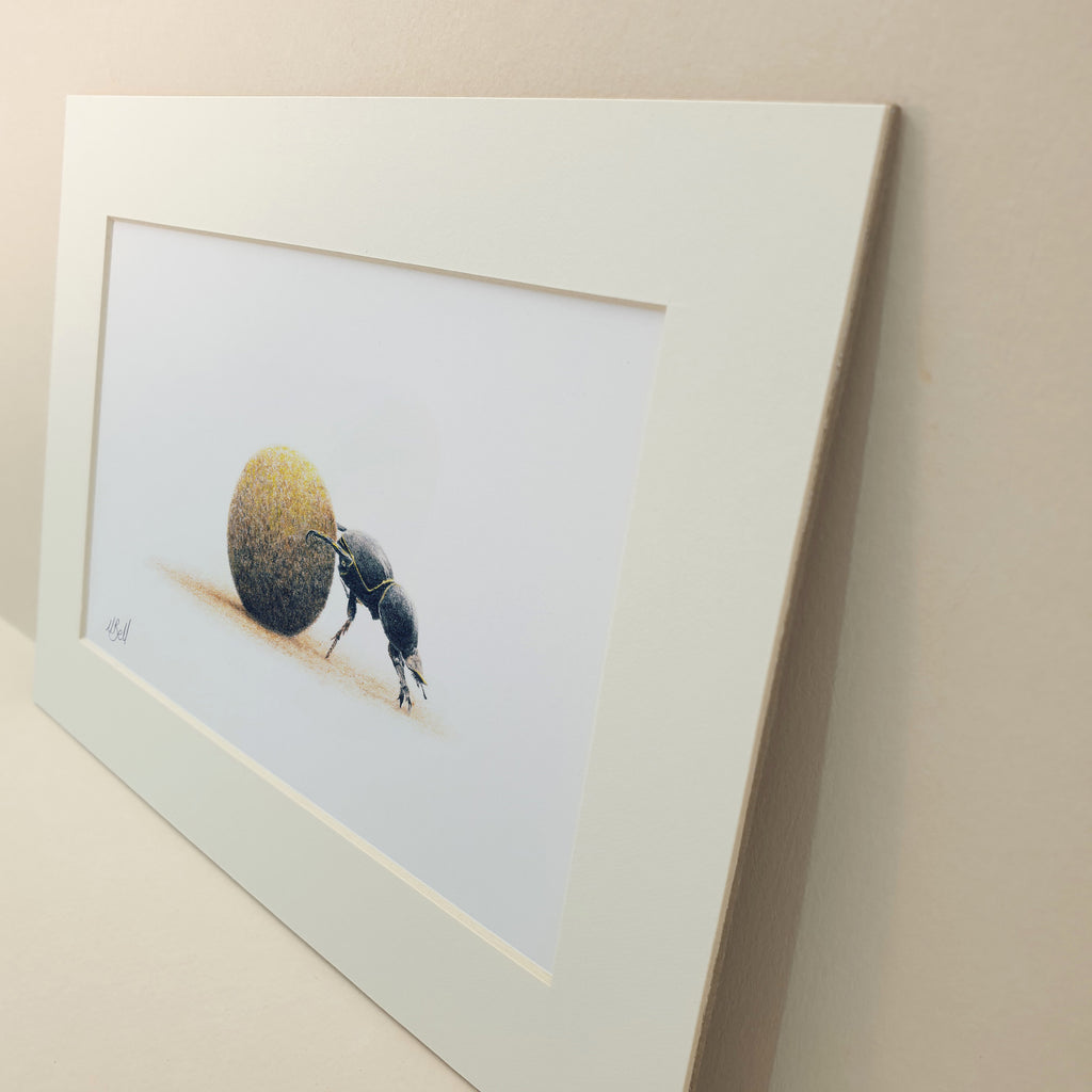 Dung Beetle artwork mounted print