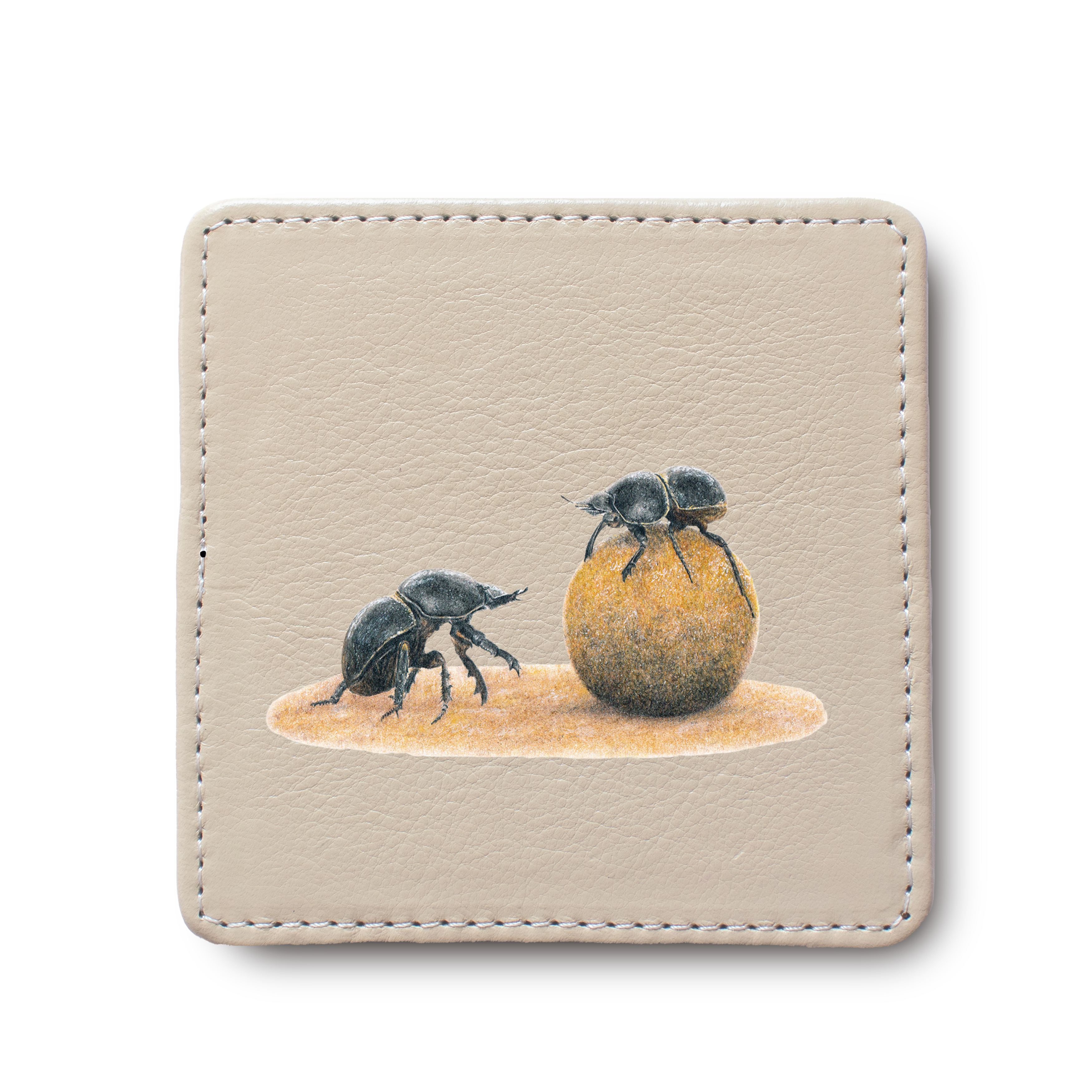 Dung Beetles animal leather coaster by South African wildlife artist Matthew Bell
