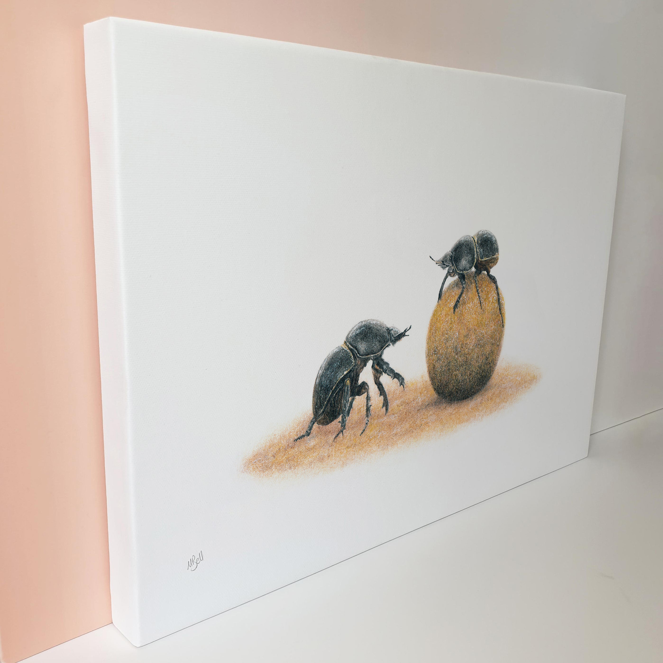 Dung Beetles canvas wall art print