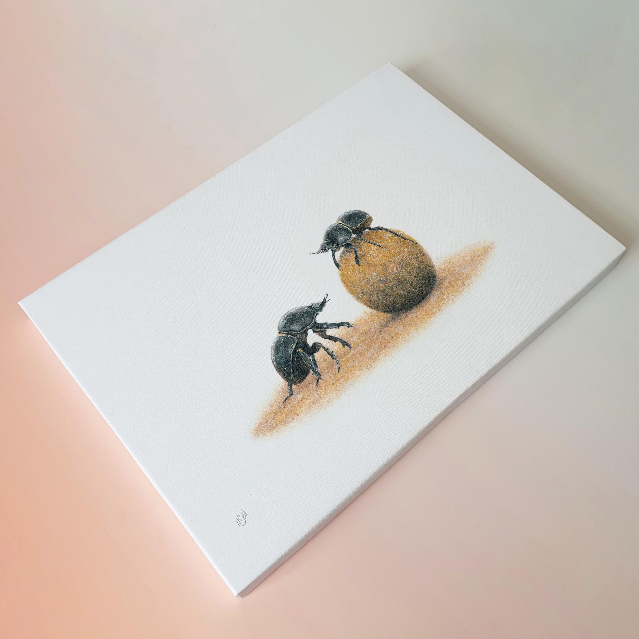 Dung Beetles canvas wall art print