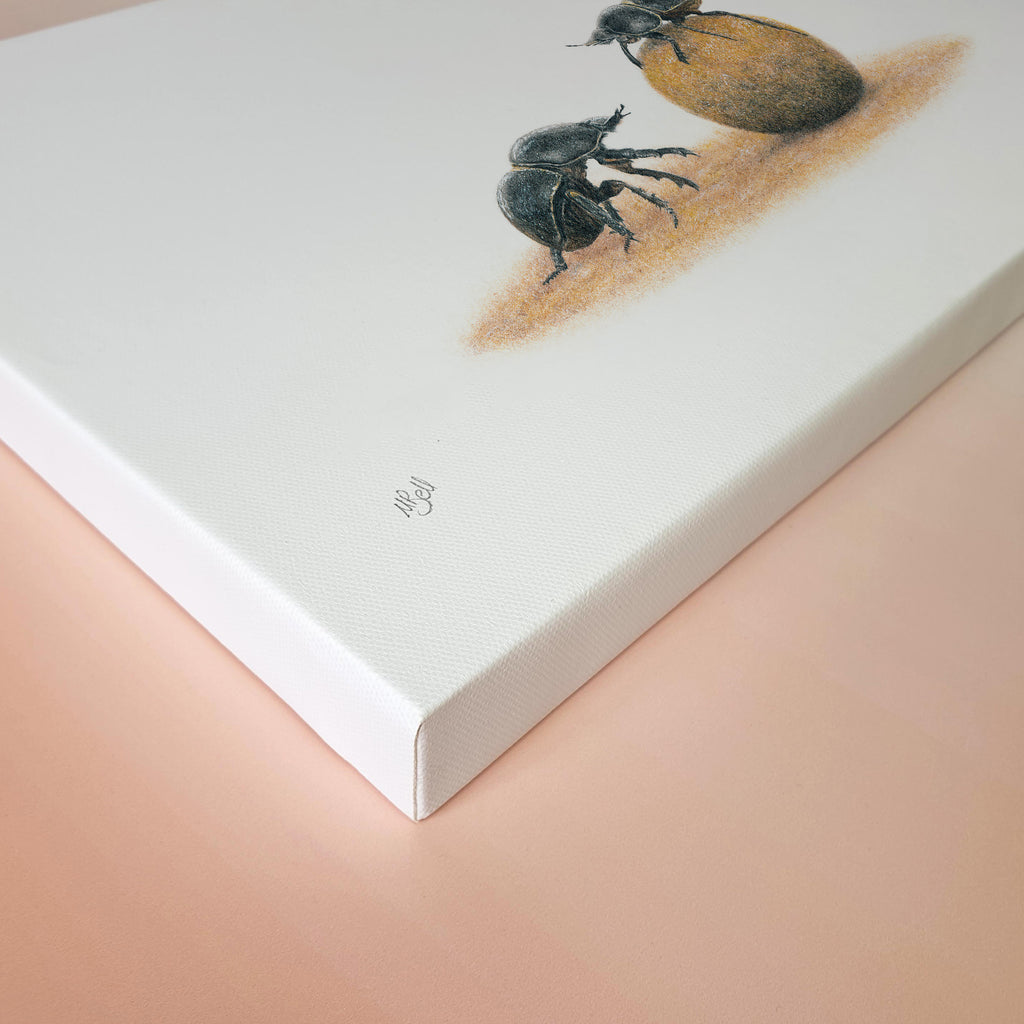 Dung Beetles canvas wall art print