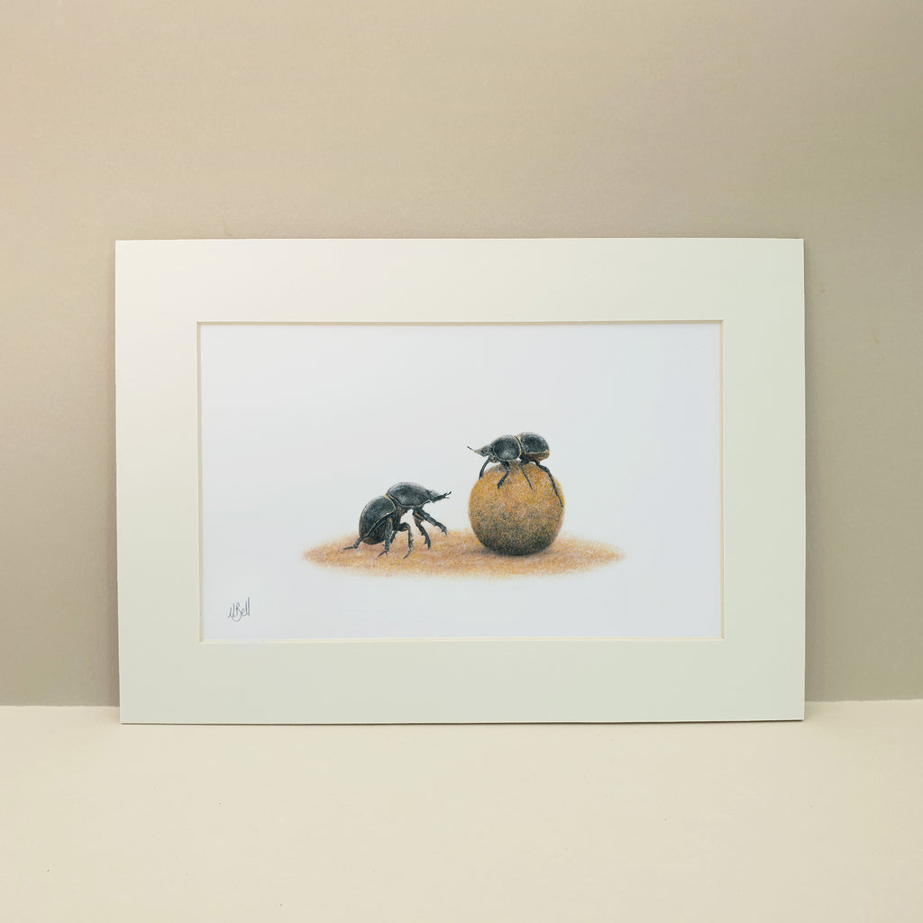 Dung Beetles pencil drawing