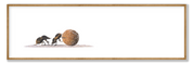 Dung Beetle Panorama