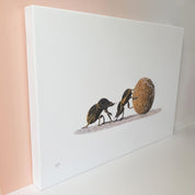 Dung Beetles on canvas wall art print