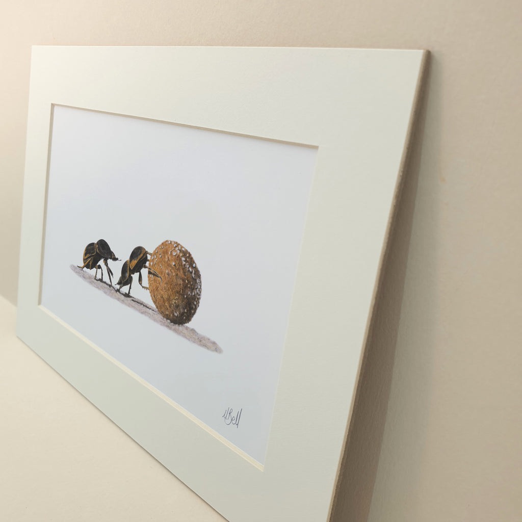 Pencil drawing painting of dung beetles in Africa