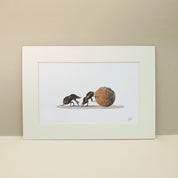 Pencil drawing painting of dung beetles in Africa