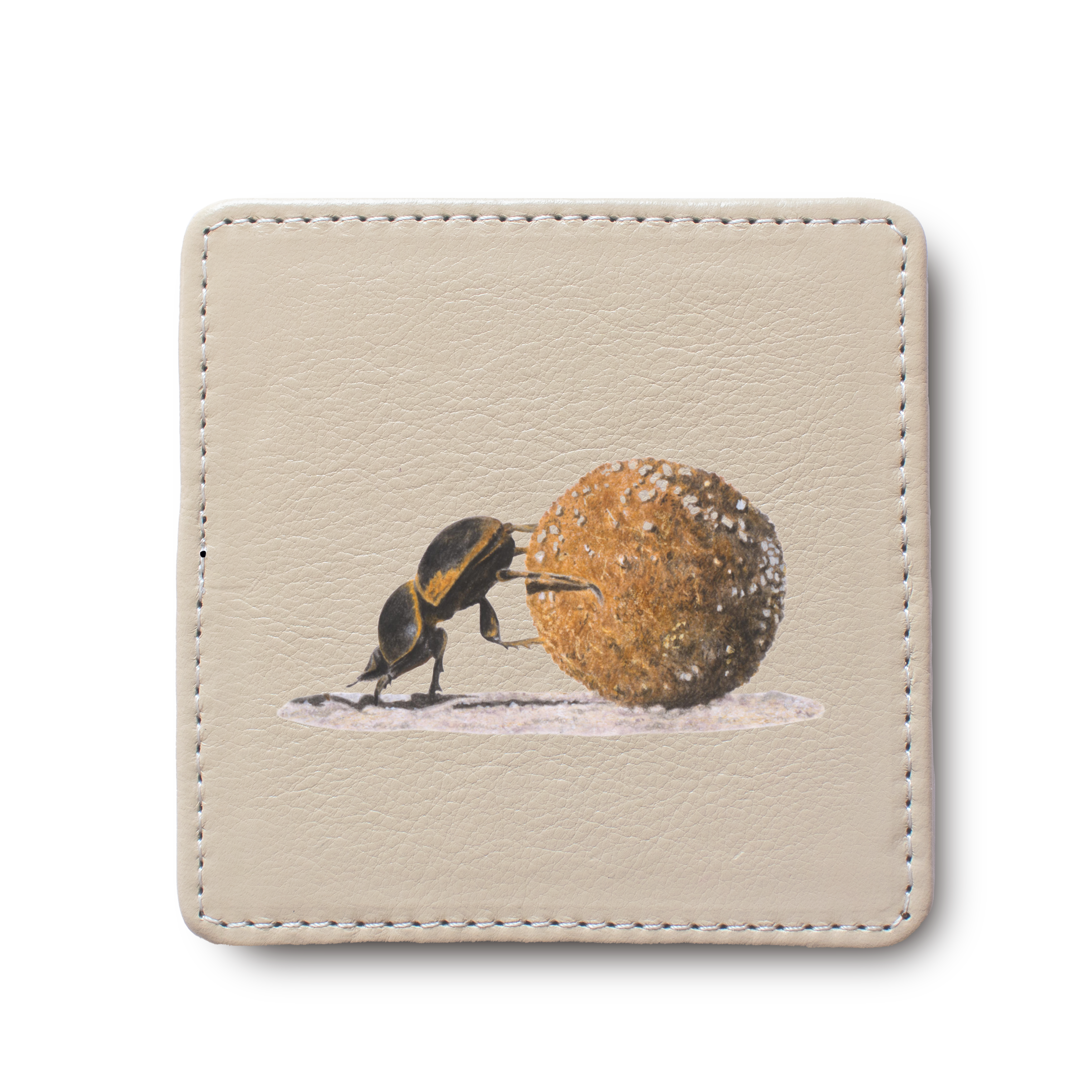 Dung Beetle leather coaster by South African wildlife artist Matthew Bell