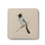Dark Capped Bulbul Leather Coaster