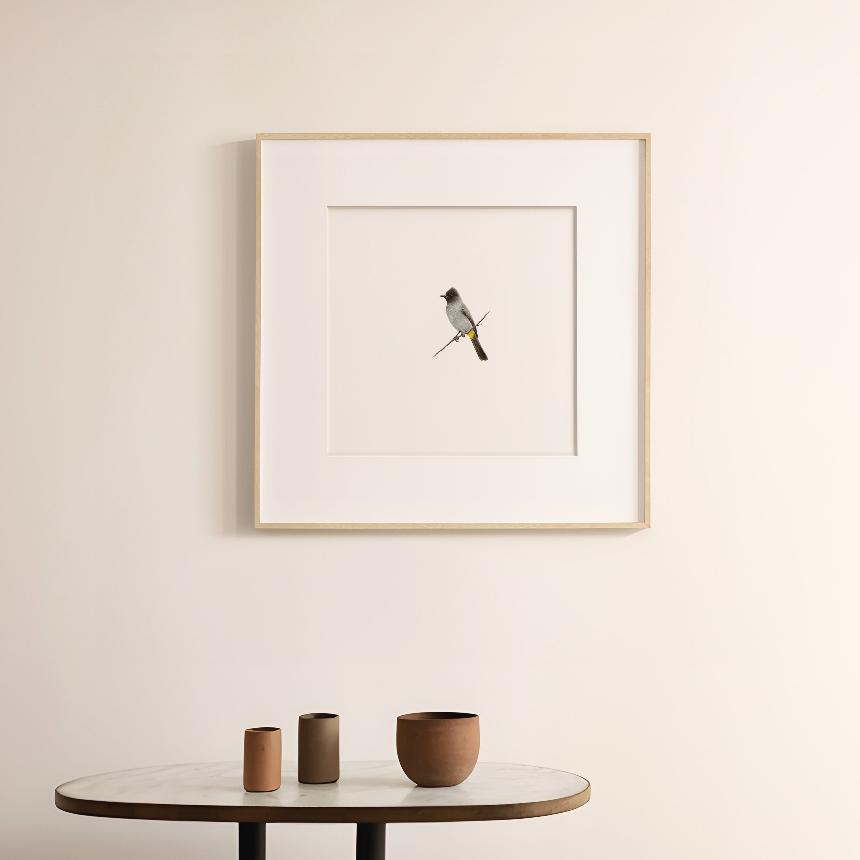 Dark Capped Bulbul - The Original