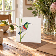 Double Collared Sunbird Greeting Card - DCS