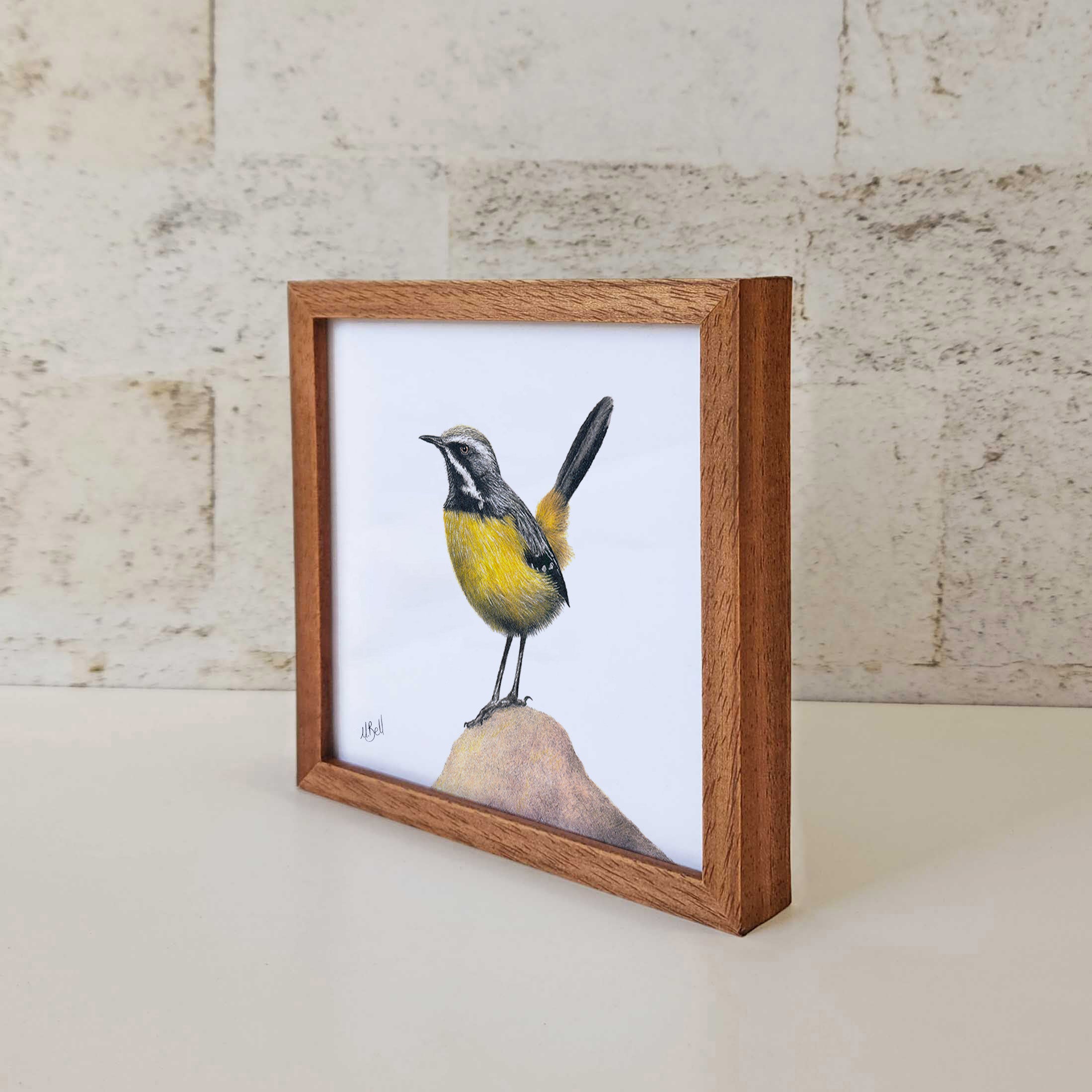 Kiaat wood framed miniature artwork of a Drakensberg Rockjumper, part of wildlife artist Matthew Bell's birds of South Africa gallery