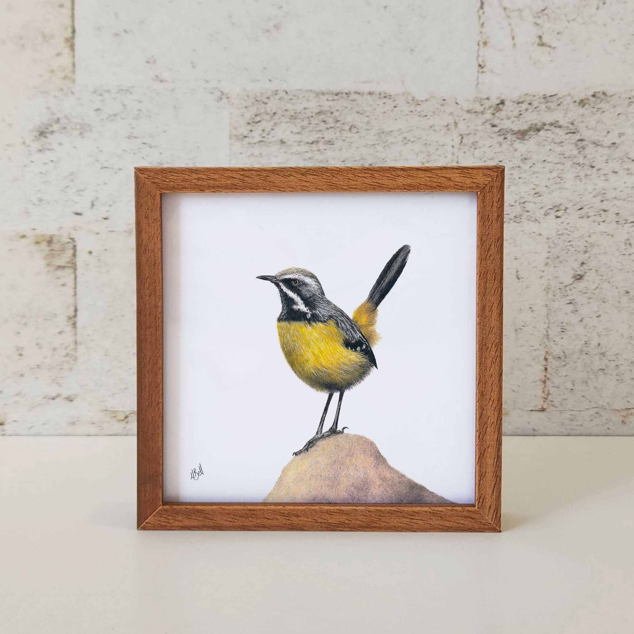 Kiaat wood framed miniature artwork of a Drakensberg Rockjumper, part of wildlife artist Matthew Bell's birds of South Africa gallery