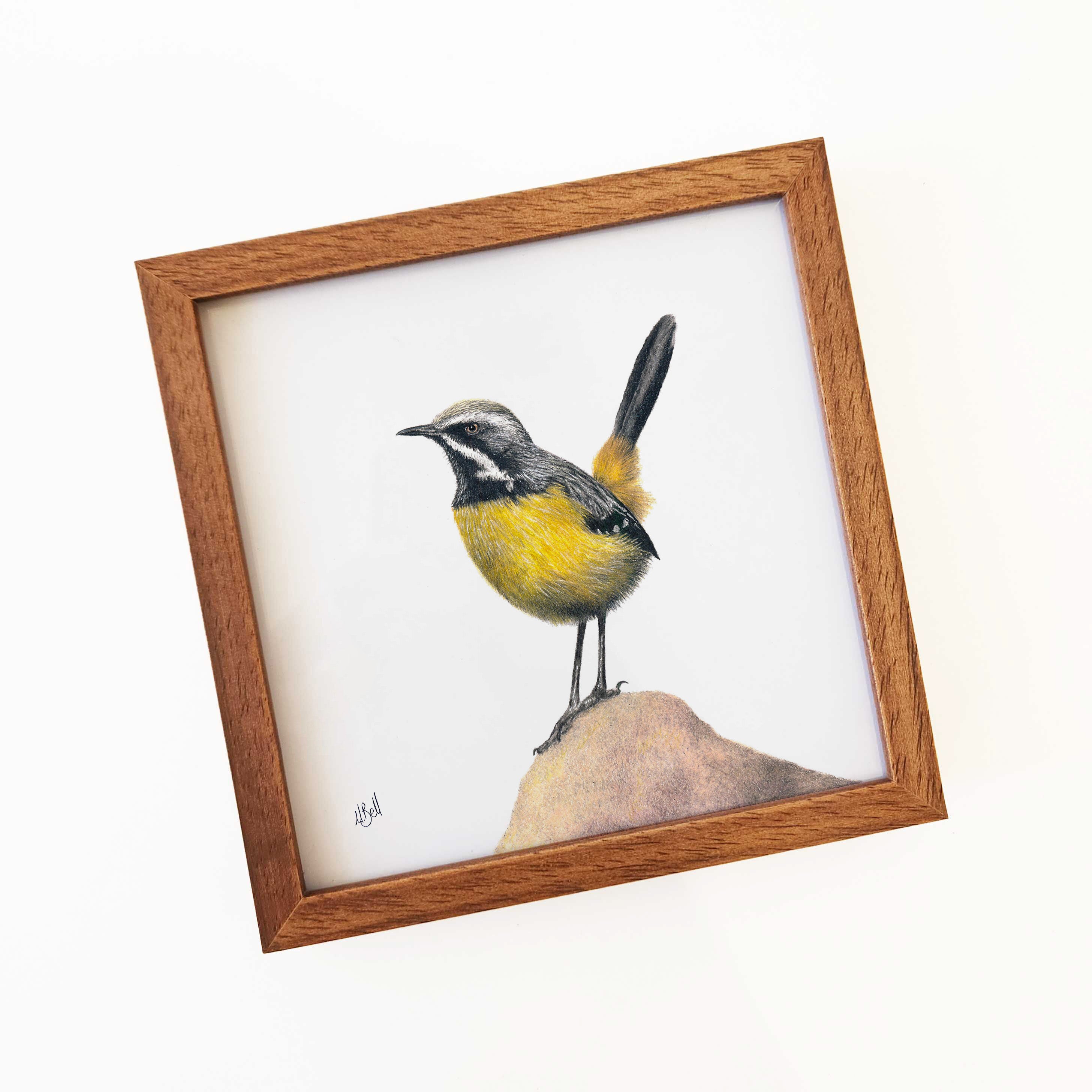 Kiaat wood framed miniature artwork of a Drakensberg Rockjumper, part of wildlife artist Matthew Bell's birds of South Africa gallery