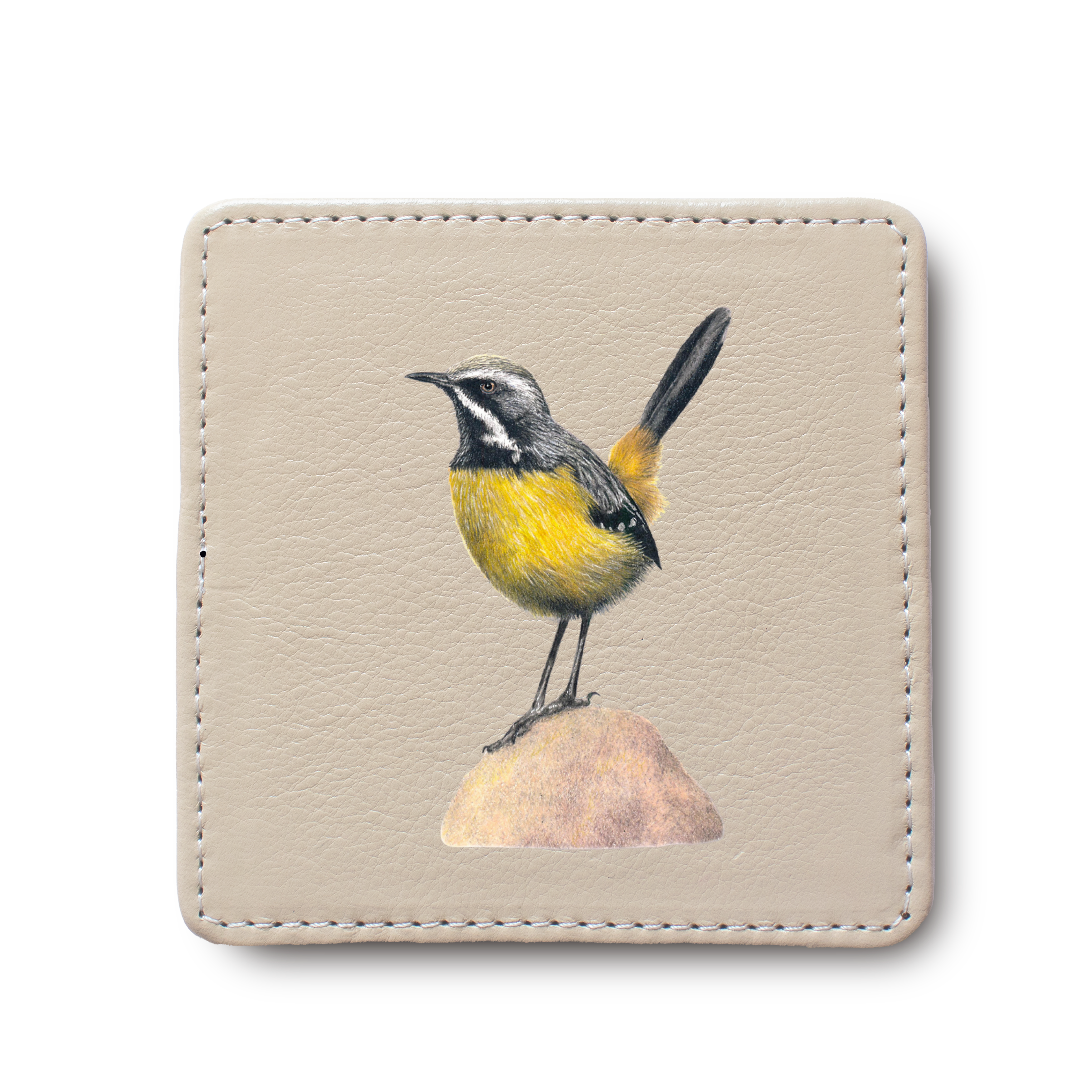 Drakensberg Rockjumper Bird leather coaster by South African wildlife artist Matthew Bell
