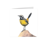 Drakensberg Rockjumper Greeting Card - DRJ