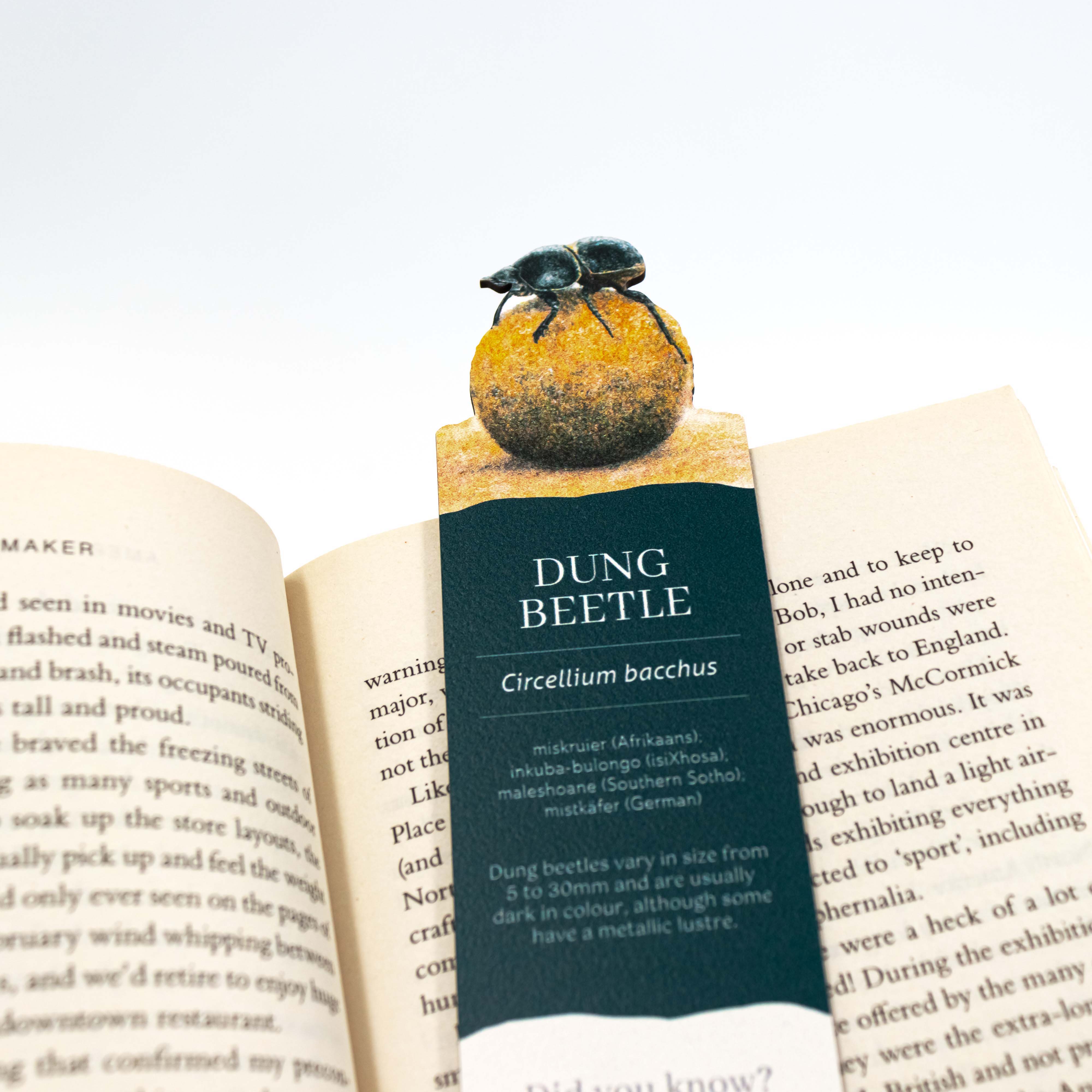 Dung Beetle Wooden Bookmark