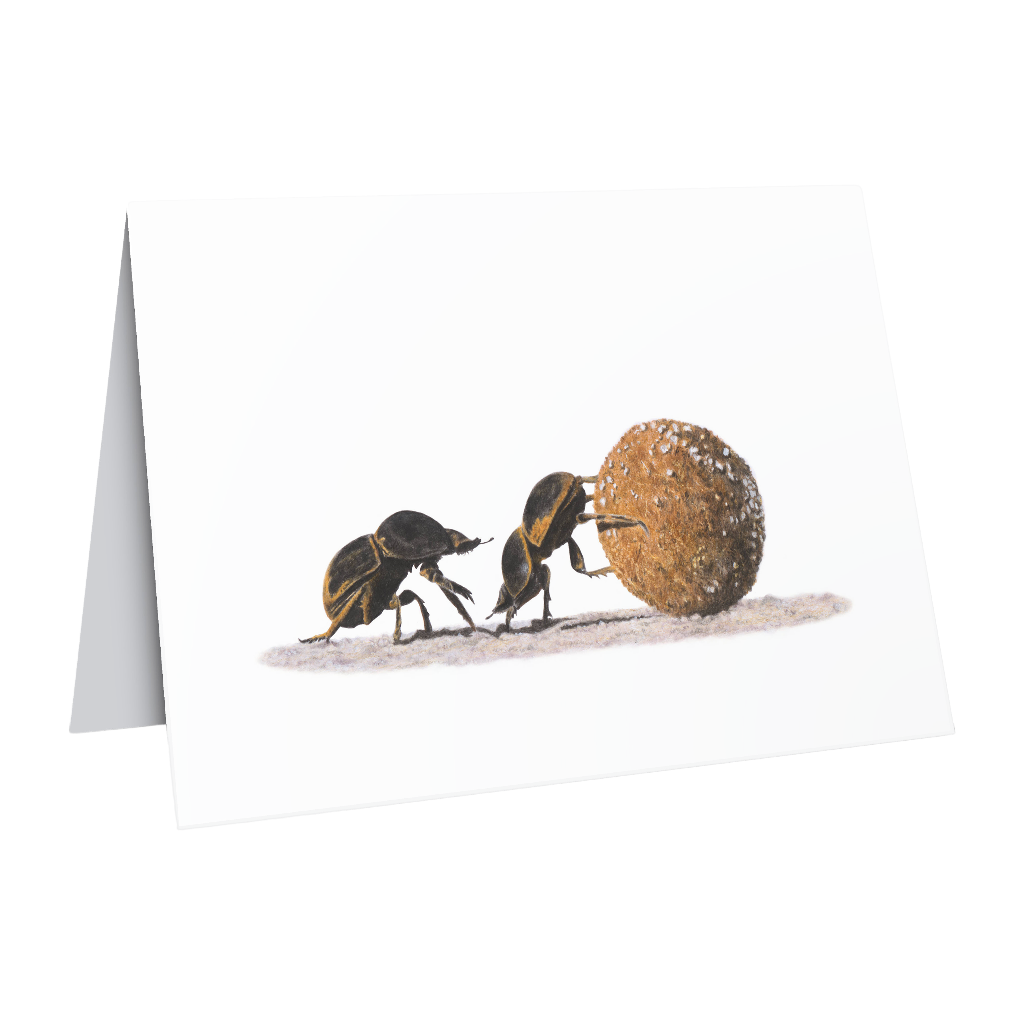 African wildlife dung beetles greeting card