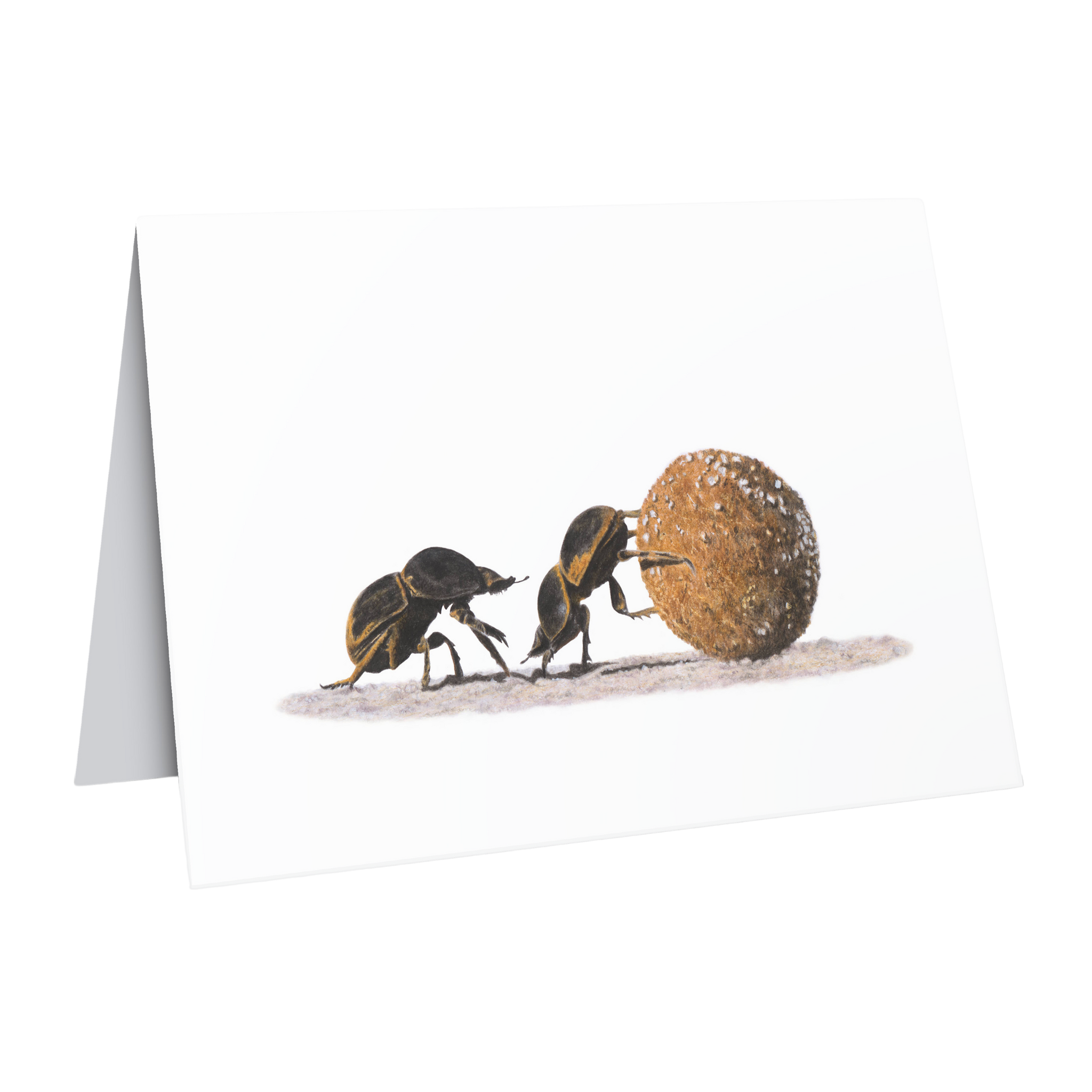 African wildlife dung beetles greeting card