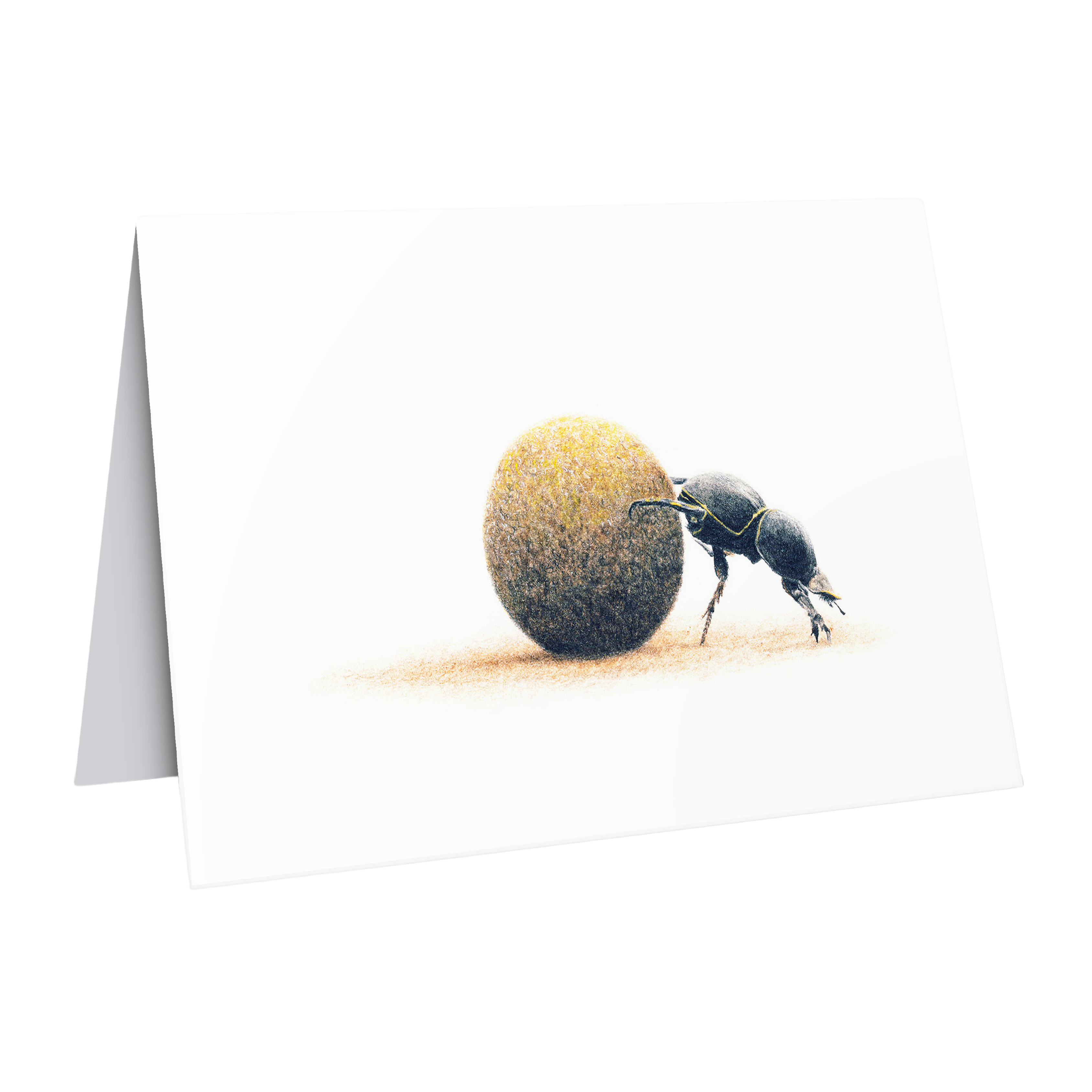 gift card featuring a dung beetle