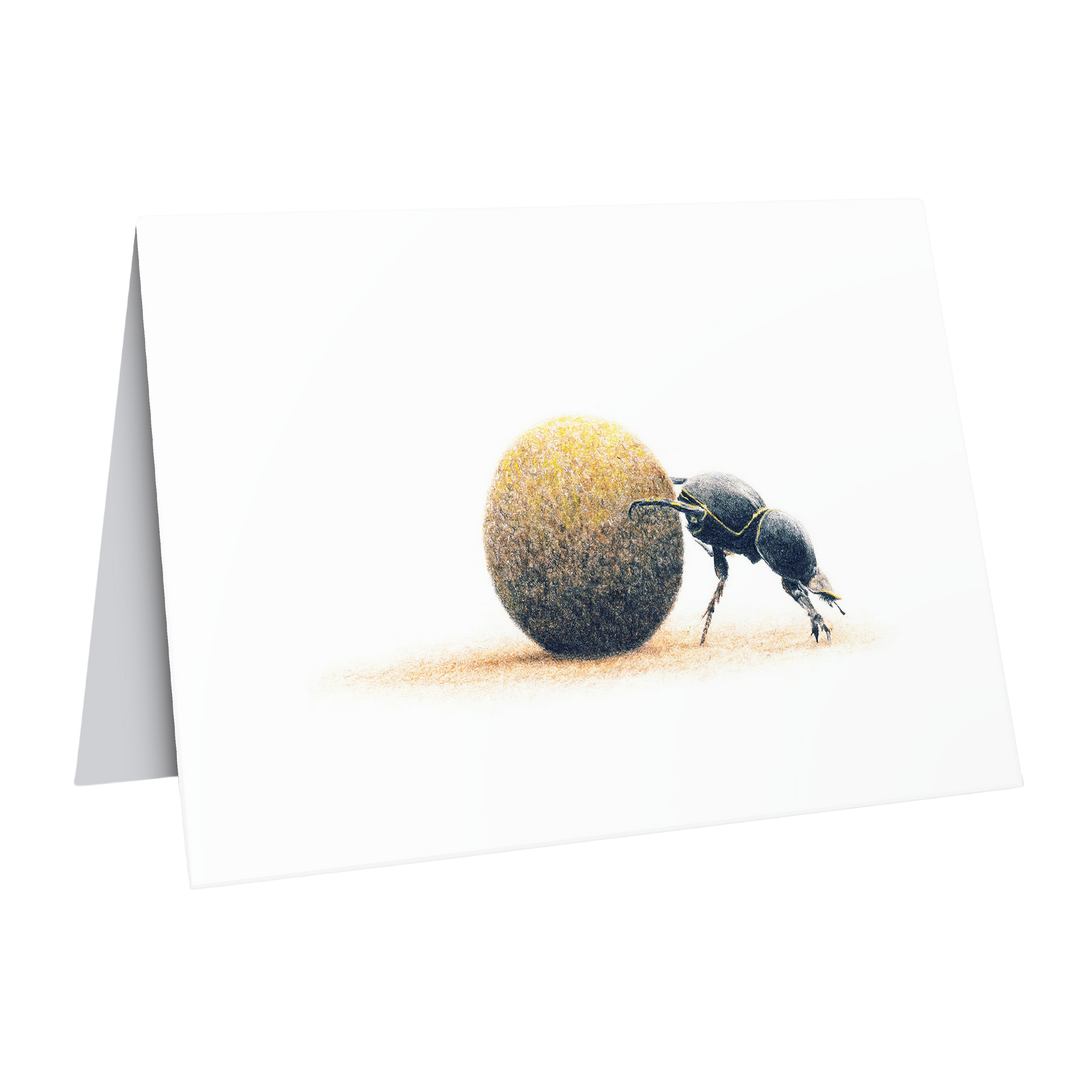 South African wildlife art greeting/gift card featuring a dung beetle