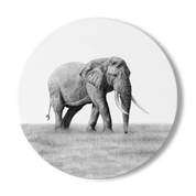 African Elephant Wooden Coaster - E10
