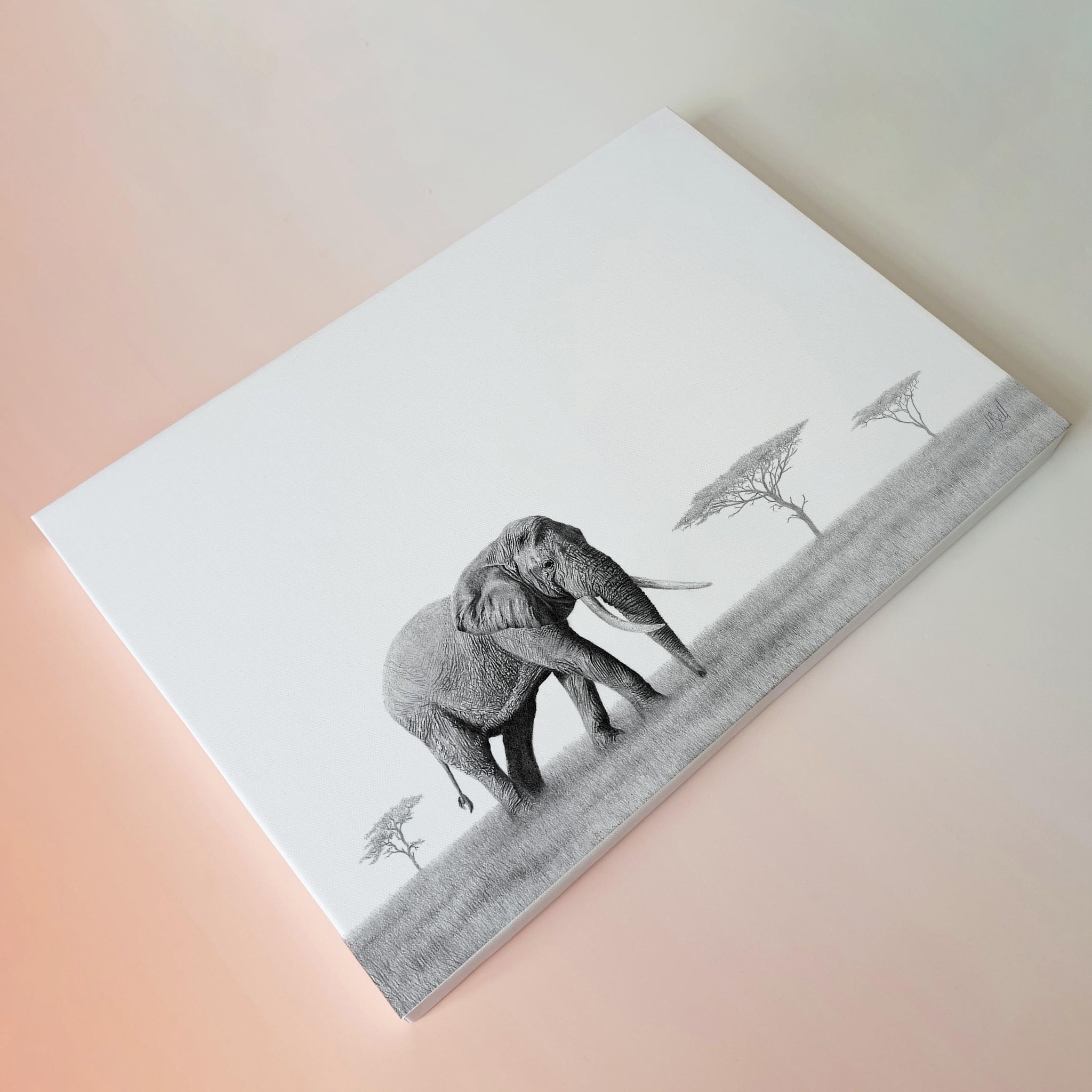 African bull elephant pencil drawing on a stretched canvas