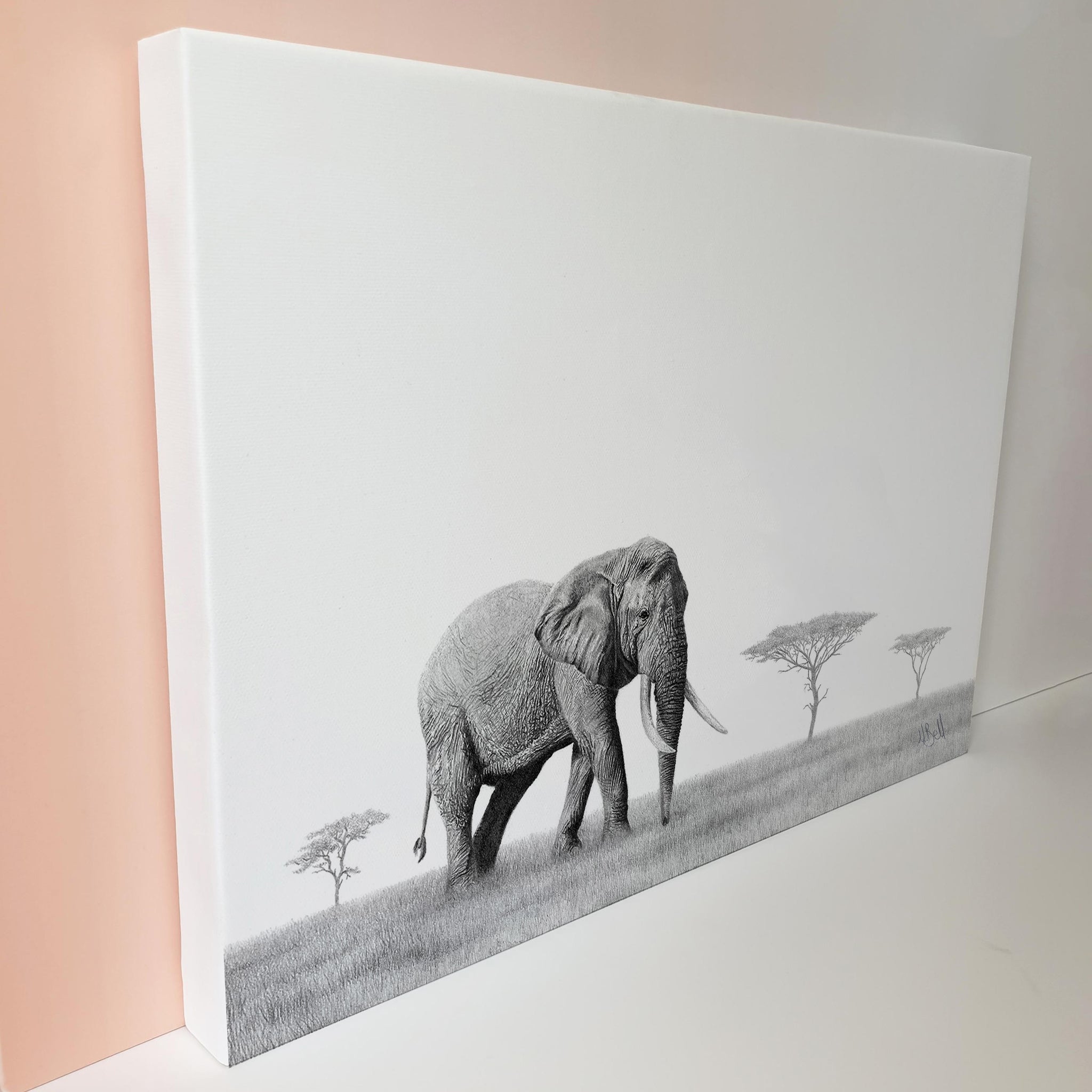 African bull elephant pencil drawing on a stretched canvas