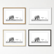 Elephant Bull - E10