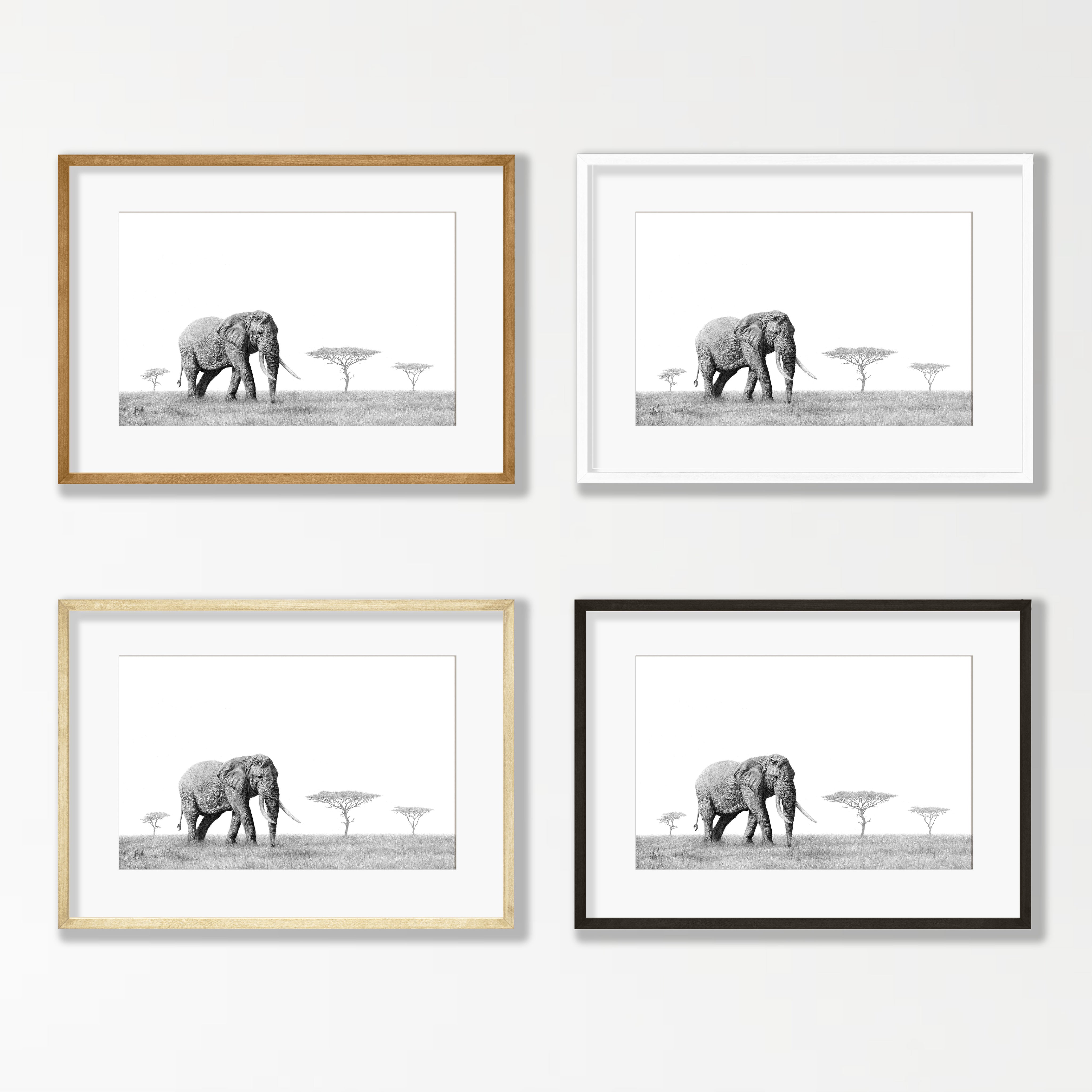 Elephant Bull - E10