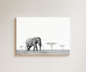 Elephant Bull drawing on canvas by South African wildlife artist Matthew Bell