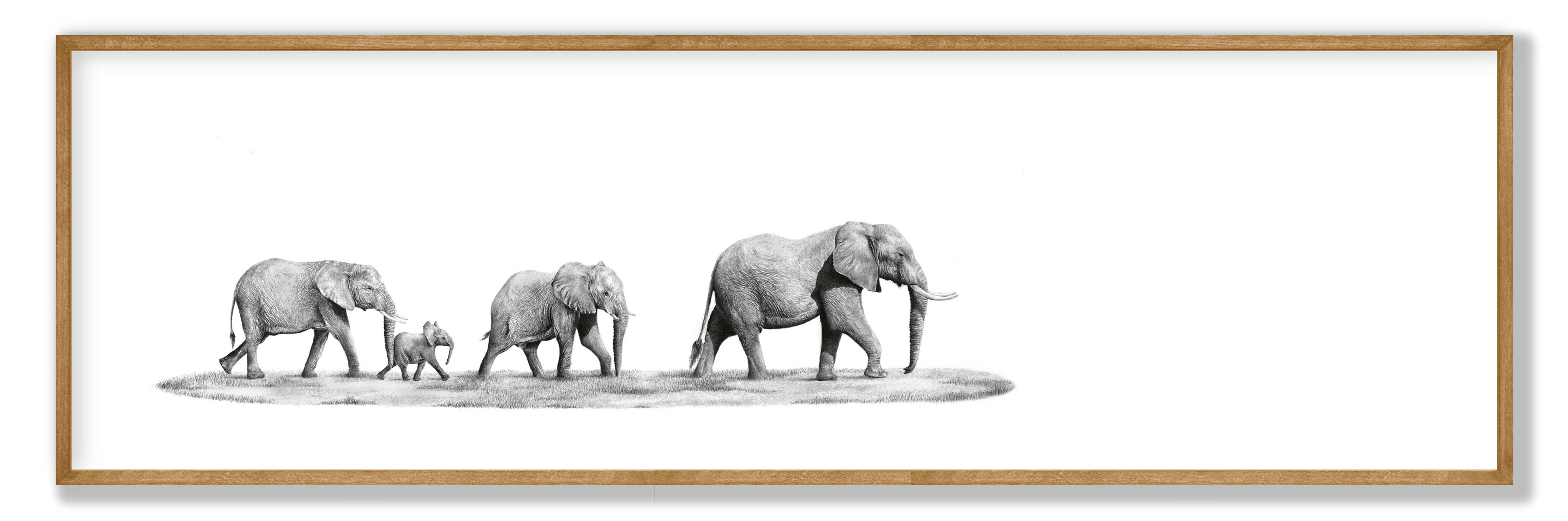 Elephant Family Panorama
