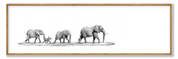 Elephant Family Panorama