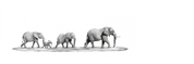 Elephant Family Panorama
