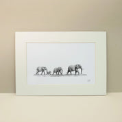 Family of African Elephants in Addo Elephant Park in South Africa