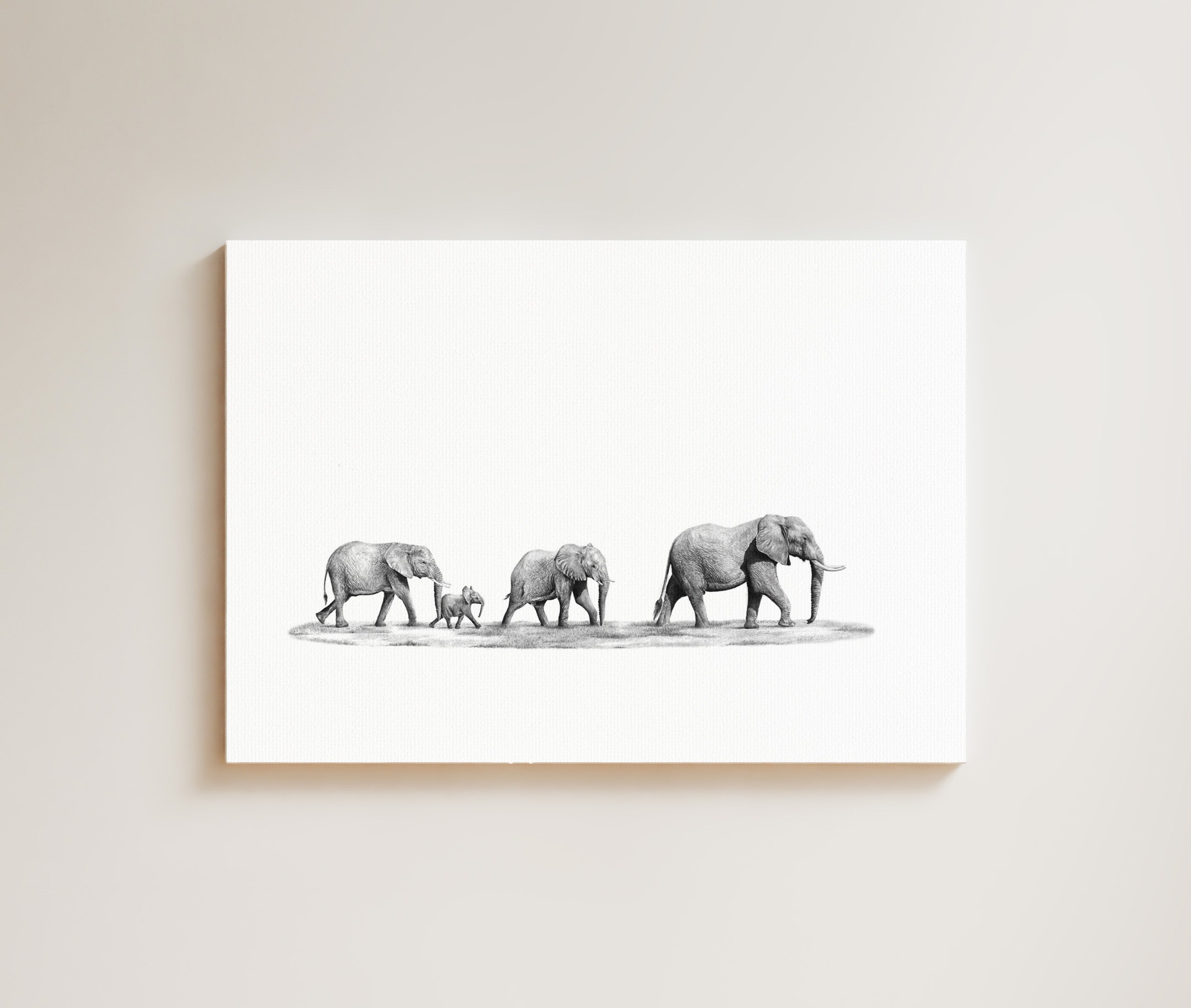 Elephant Family drawing on canvas by South African wildlife artist Matthew Bell 