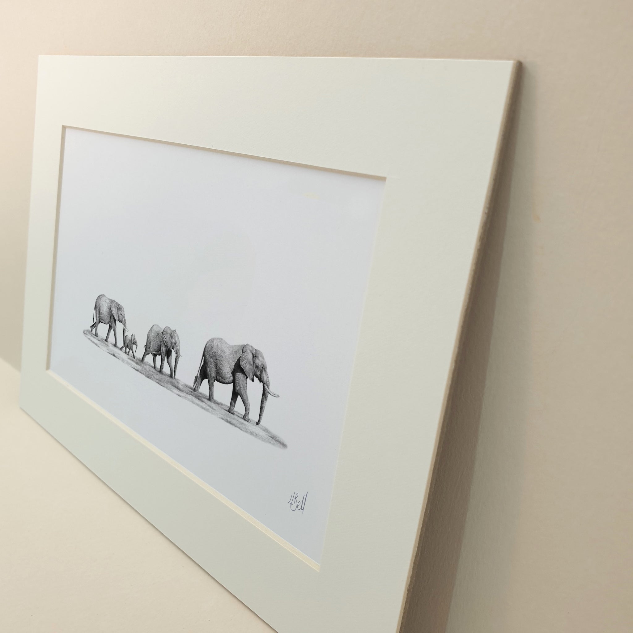 Family of African Elephants in Addo Elephant Park in South Africa