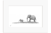 Elephant Mother and Calf - E12