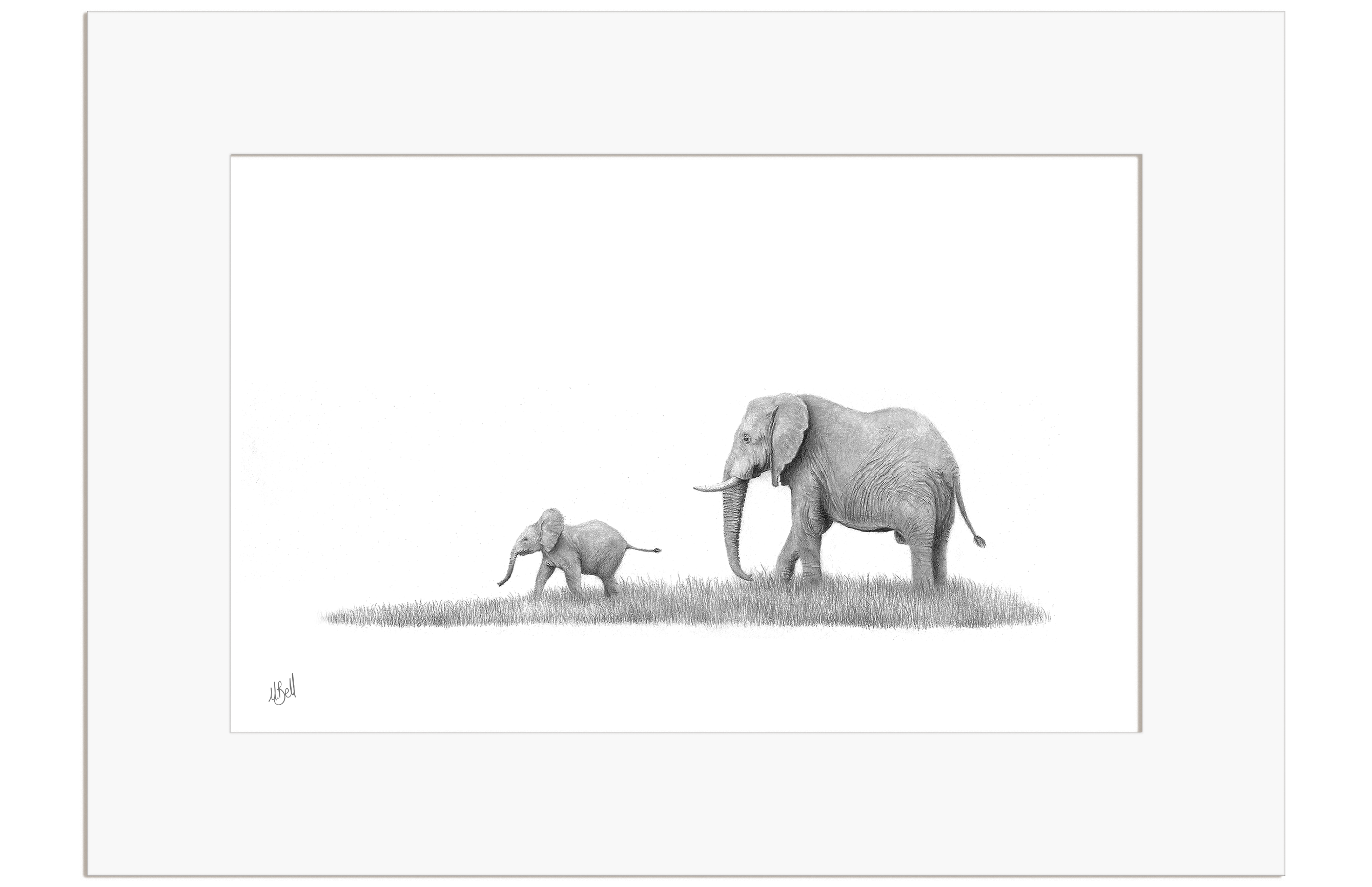 Elephant Mother and Calf - E12