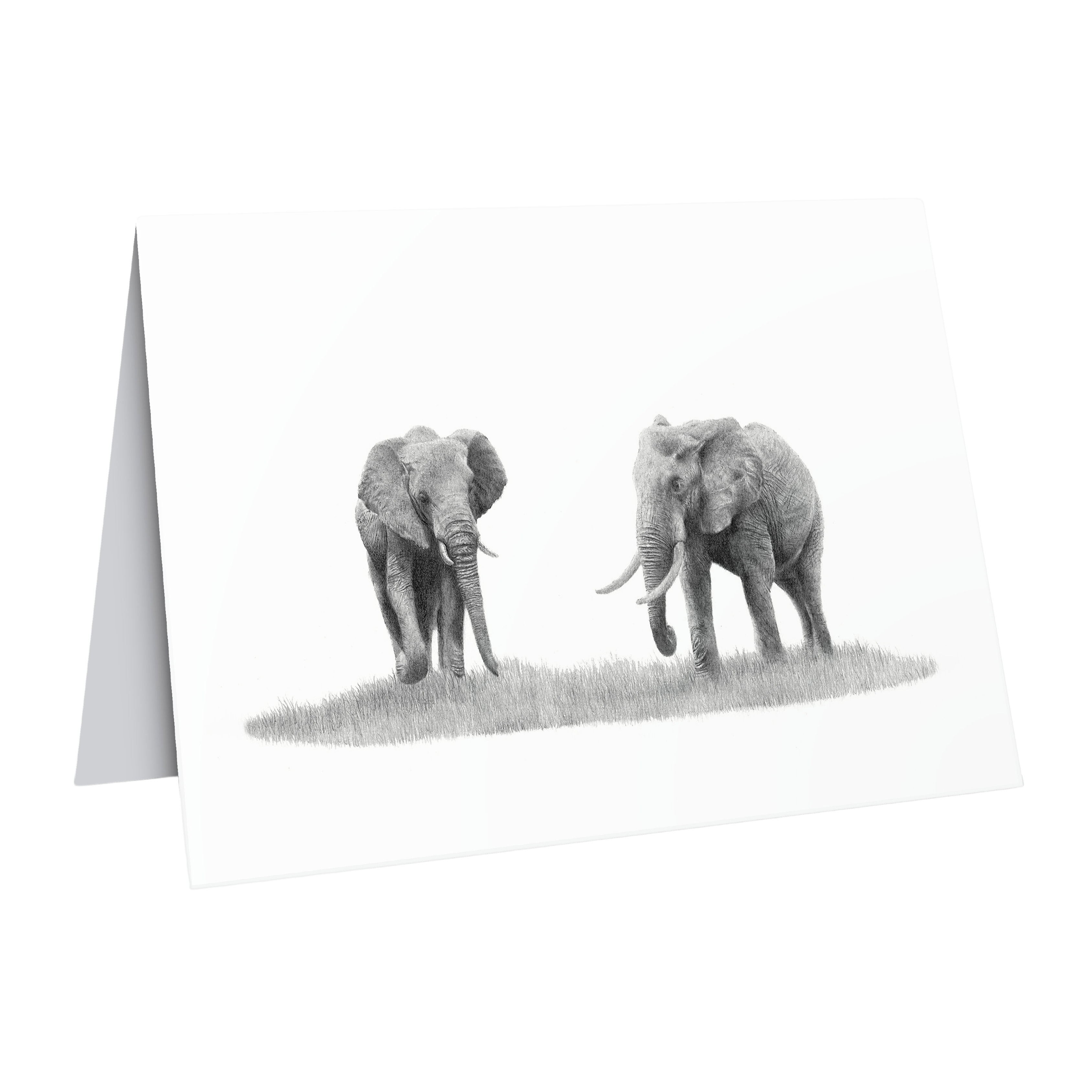 Elephant pair greeting card