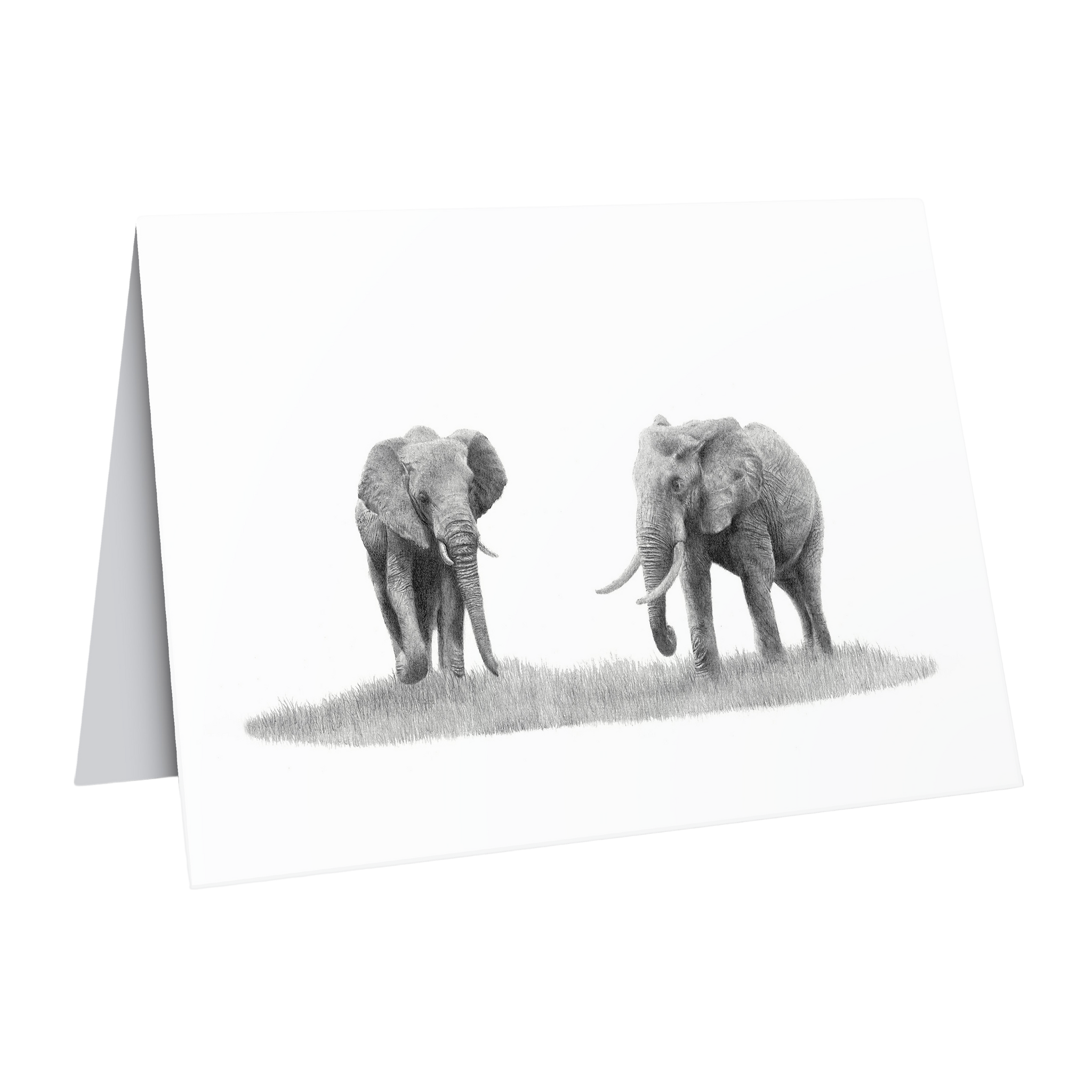 Elephant pair greeting card