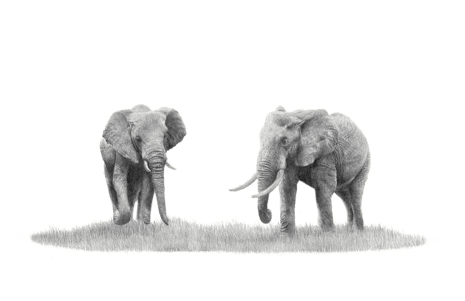 Stretched canvas print on a wooden frame by South African wildlife artist Matthew Bell of two African Elephants