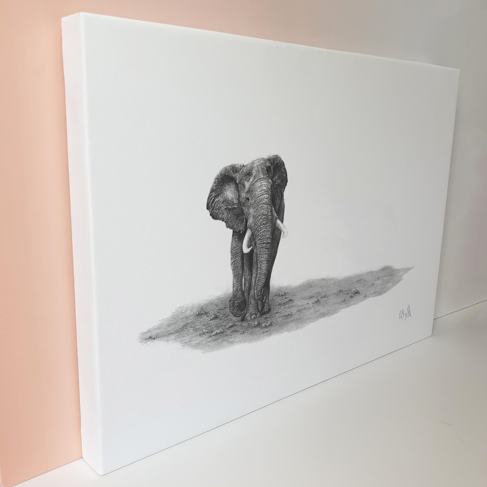 African Elephant Bull on canvas art print